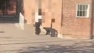 El pedido de la adolescente de 14 años que disparó en una escuela de Mendoza: "Busco a la seño Raquel"