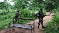 Chhattisgarh Maoist toll crosses 250-mark this year after 3 more killed