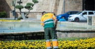 El PSOE de Cádiz denuncia incumplimientos en el nuevo contrato de Parques y Jardines