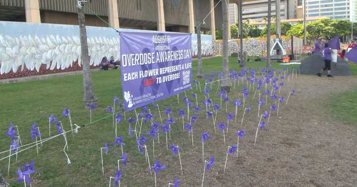 Honolulu observes International Overdose Awareness Day, focusing on community needs