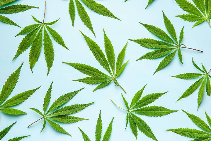 Cannabis Use Increases Diabetes Risk Nearly Fourfold