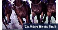 Race-by-race preview and tips for Monday meeting at Muswellbrook