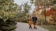 Fall feeling a little drab? Mother nature may be missing her environmental cue