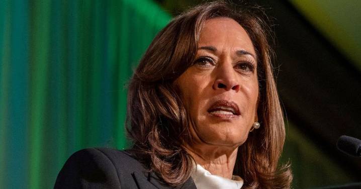 Joe Biden 'reckless' not to stand aside earlier, says Kamala Harris