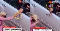 “Qué felicidad verlos libres”: hombre compra todos los pajaritos a un vendedor ambulante para liberarlos