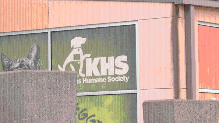 KHS puts out plea for puppy formula, cat treats