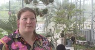New plant library part of conservatory reopening at Lauritzen Gardens