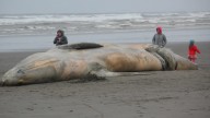 Mennonite Man Beached on the Shores of Lake Winnipeg
