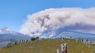 Podcast: How Oregon ranger saved hundreds from 2020…