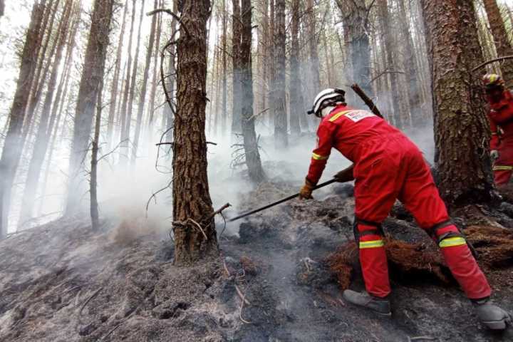 Extinguen siete incendios forestales reportados en Arequipa, Huánuco, Madre de Dios y Puno