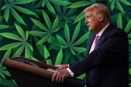 Cannabis Business Leaders Don’t Believe Trump Will Reschedule Pot This Year