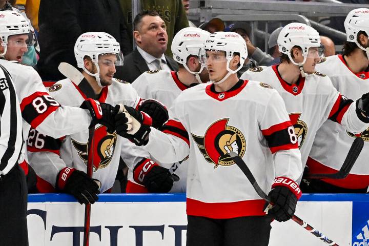 Summer Synopsis: Ottawa Senators