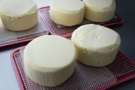 The 2025 Massachusetts Cheese Festival has been canceled