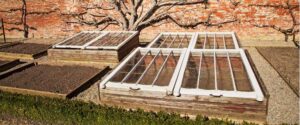 Extending the Growing Season: Tips for Idaho Gardens