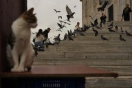 Our world in photos: September 29