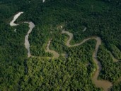 Publican proyecto de resolución para frenar petróleo y minería la Amazonía