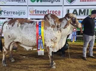 ¡Celebrando la Excelencia! La Gobernación Bolivariana Premia a los Mejores Criadores en la Expoferia Ganadera de El Laberinto