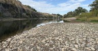 Low river flows trigger calls, closures, stressed fish