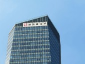 Sun Hung Kai Properties: A Buy On Earnings Turnaround And Potential Catalysts (SUHJY)