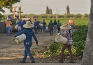 1.2 million immigrants are gone from the U.S. labor force under Trump, preliminary data shows