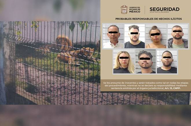 Cae banda de secuestradores extranjeros en rancho de Ixtapan de la Sal; hallan cuatro leones