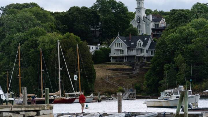 Did a Brooklyn couple kill a neighbor’s trees for a better view in Maine?