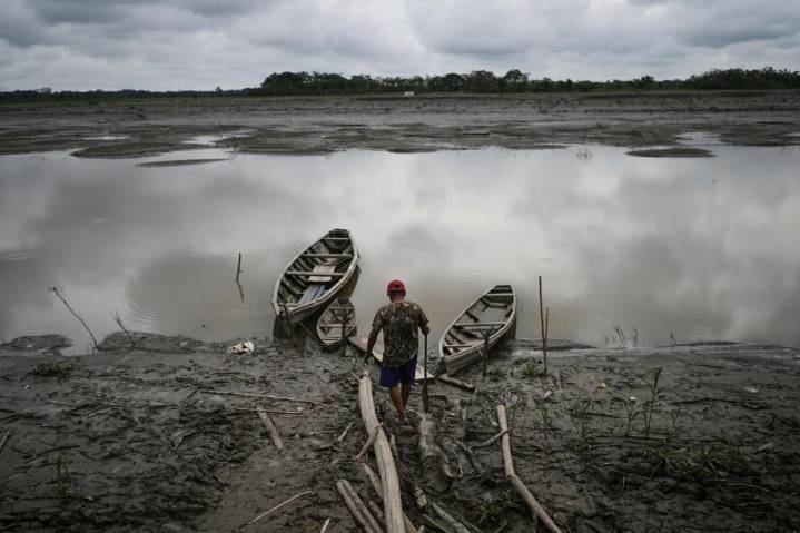 Well-preserved Amazon rainforest can protect people from diseases: study
