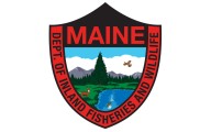 New Jersey man dies while hunting bear in Maine