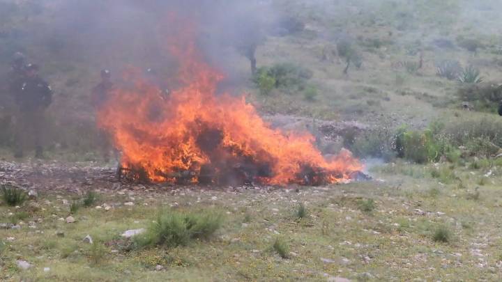 Incineran más de 187 kilos de drogas decomisadas en San Luis Potosí