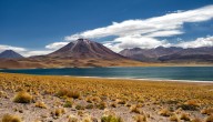 Tormentas de arena y rachas de viento de hasta 110 km/h en 5 comunas del norte: Senapred actualiza alerta preventiva