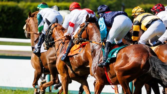 We ask you: what are you betting on with horse racing on strike?