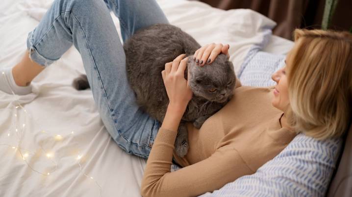 Qué significa que tu gato duerma encima tuyo, según veterinarios