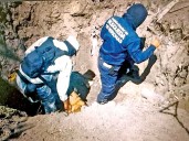 Identifican a 3 mujeres halladas en fosas en Veracruz
