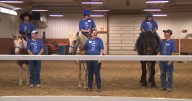 SMILES horse therapy program showcases participant skills at annual show