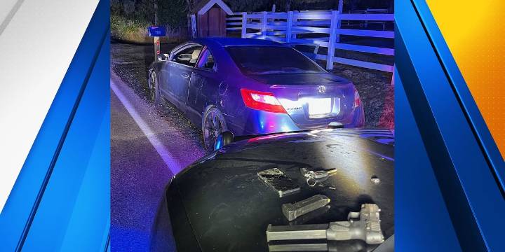 Sheriff: Convicted felon arrested after high