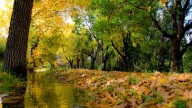 La joya oculta de Mendoza que tenés que conocer en tu visita a la provincia: historia, naturaleza y sabor local