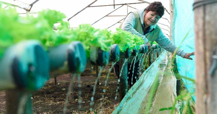 Bancamía ha desembolsado este año microcréditos verdes por más de $23.800 millones para fortalecer la resiliencia