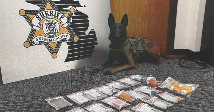 ANTRIM, CHARLEVOIX: Five arrested in drug bust