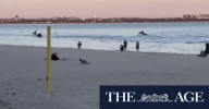 Brighton-le-Sands jet-skiers set to be fined through CCTV: Bayside Council