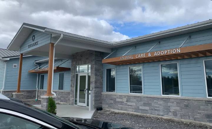Belleville council approves new contract with Humane Society Hastings Prince Edward