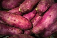 What Happens to Your Body When You Eat Japanese Sweet Potatoes Regularly