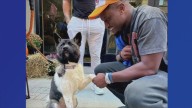 Khalil Shakir helps welcome 19 dogs to Nickel City Canine Rescue