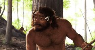 Ancient skull from China may shake up timeline of human evolution