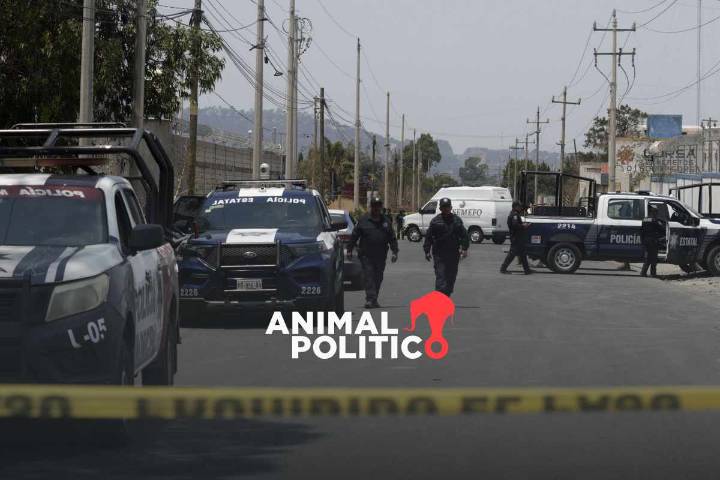 Suman 338 policías asesinados en el gobierno de Sheinbaum; estos son los estados con más casos