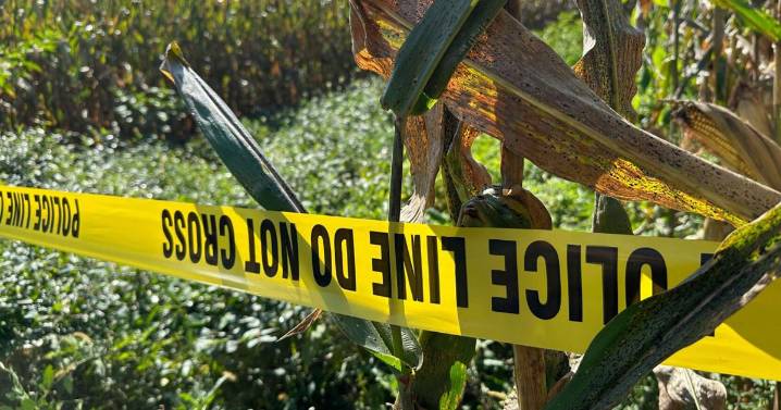 Prosecutor says stalking suspect ambushed Pennsylvania police officers, killing 3