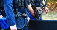 UPDATE: CPD K9 Diesel remembered for courage, service after dying in line of duty
