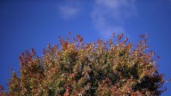Western Washington awaits autumn weather next week