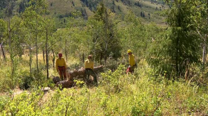 USDA seeks public feedback as it intends to roll back 2001 Roadless Rule