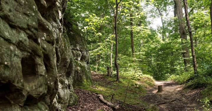 Everyone welcome at SIU’s 5K/10K Trail Run/Walk on Oct. 4