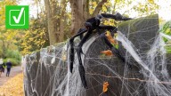 Are fake spiderwebs bad for wildlife?